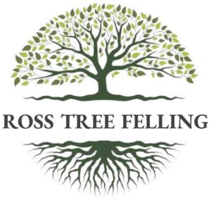 Ross Tree Felling Howick 300x281