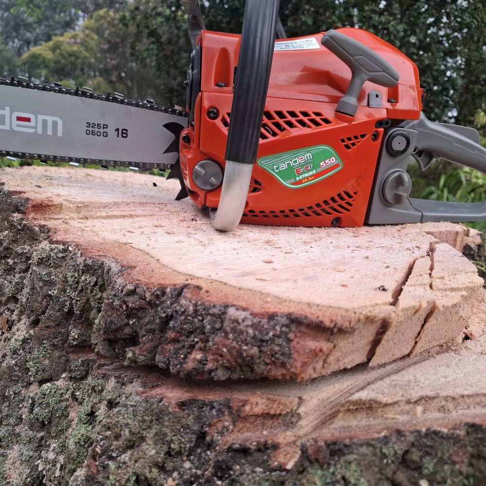 556466493 122146083032834405 4353673257169834329 n 1000x1000