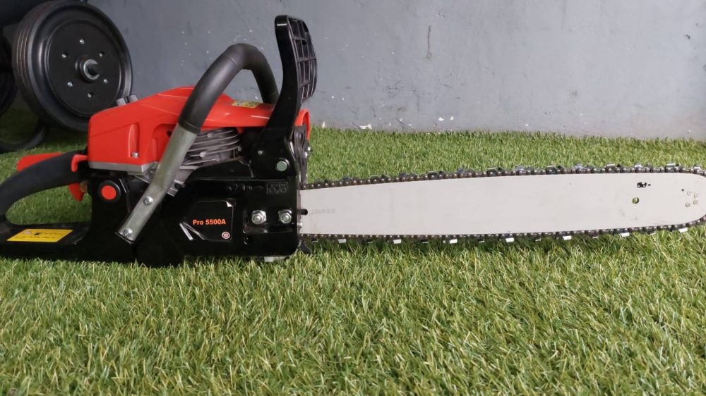 556884121 122146081664834405 6694335163591695945 n 1000x562