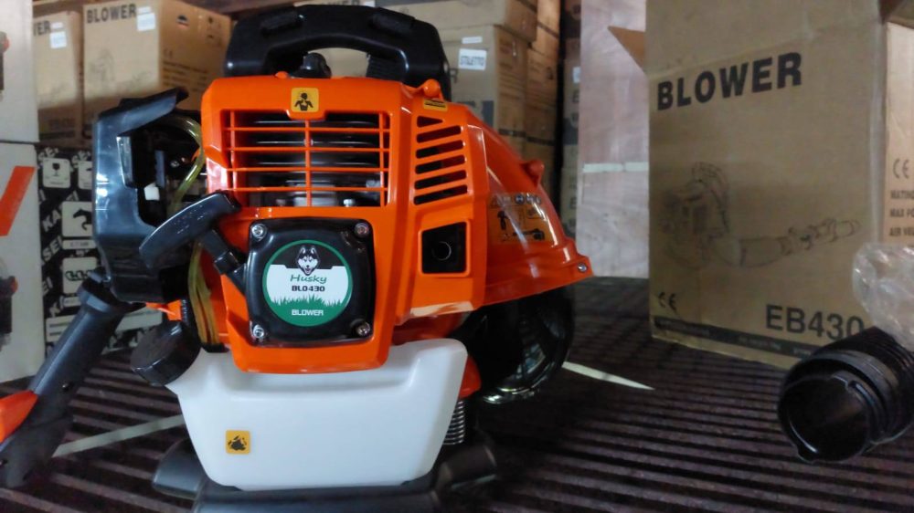 556959631 122146081820834405 6992428292470394962 n 1000x562