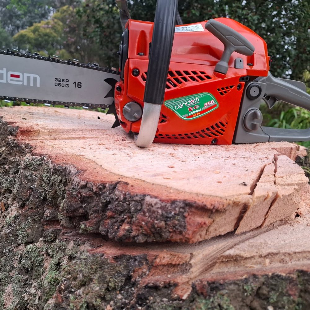 557237010 122146082726834405 4753997067145703412 n 1000x1000