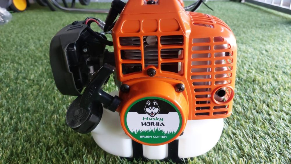 558910674 122146081496834405 1996042055820394759 n 1000x562